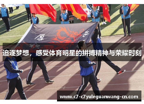 追逐梦想，感受体育明星的拼搏精神与荣耀时刻